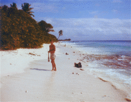 Me (in 1982), on the beach on the 'ocean side' of Diego Garcia....filling my socks with puka shells, which covered the beach.